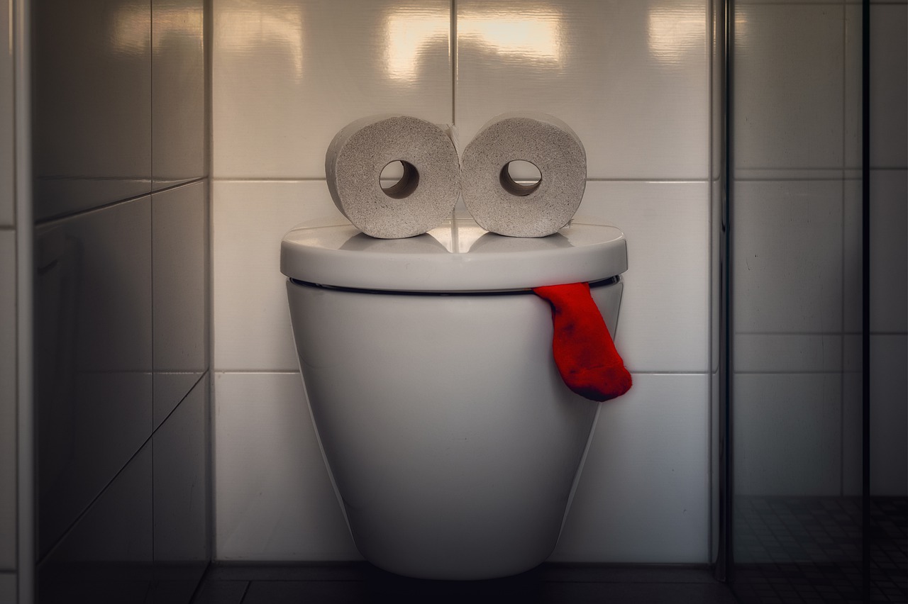 A toilet with 2 rolls of toilet paper and a red rag hangin out to look like a face